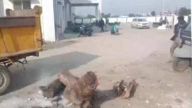 करेली: करेली नगर पालिका ने ठंड को देखते हुए मुख्य चौराहों पर अलाव की व्यवस्था की