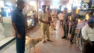 ఆర్మూర్: ఆర్మూర్ పట్టణంలో బ్యాక్ సైడ్ బృందాలతో పోలీసుల తనిఖీలు