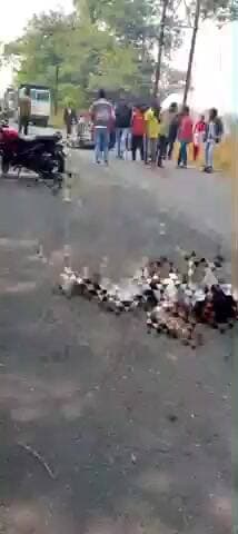 चुरचु: हेसालौंग में सड़क दुर्घटना, कनकी गांव के एक युवक की मौत, एक घायल