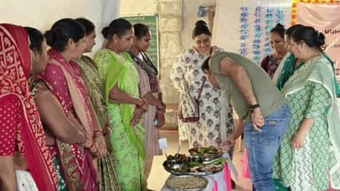 મેંદરડા: મેંદરડા મામલતદાર કચેરી દ્વારા તાલુકા કક્ષાની મધ્યાન ભોજન યોજનાનું આયોજન કરવામાં આવ્યું છે