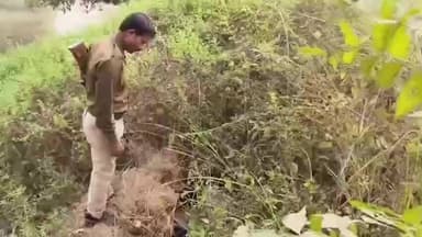 मसौढ़ी: मसौढ़ी में अवैध शराब की भट्टियाँ ध्वस्त, पुलिस ने सख्त कार्रवाई जारी रखने का दिया भरोसा