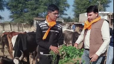 रेलमगरा: रेलमगरा में भाजपा कार्यकर्ताओं ने गौशाला में गौ सेवा का कार्यक्रम किया, मंडल अध्यक्ष सहित कई कार्यकर्ता रहे मौजूद