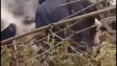 काराकाट: काराकाट में खलिहान में आग लगने से आठ बीघा धान की फसल जलकर हुई राख