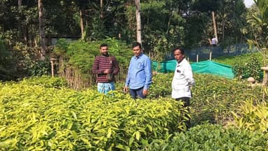 কেতুগ্রাম ২: সবুজায়নের লক্ষ্যে এবং দূষণ রোধে বৃক্ষ রোপনই একমাত্র পথ বললেন কেতুগ্রাম-২ পঞ্চায়েত সমিতির সভাপতি বিকাশ বিশ্বাস