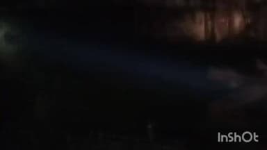 जैतपुर: जैतपुर रसमोहनी बस्ती में भालू की दस्तक, वन विभाग ने बनाई टीमें, रात में बढ़ाई गश्त