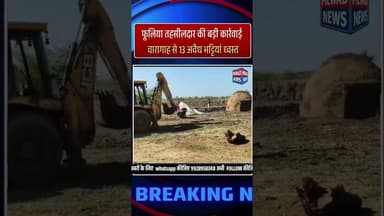 अवैध कोयला भट्टियों पर तहसीलदार की कार्रवाई #mewadnews