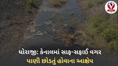 #rajkot | ધોરાજી: કેનાલમાં સાફ-સફાઈ વગર પાણી છોડતું હોવાના આક્ષેપ | Divyang News |
