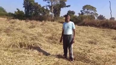 खैरलांजी: भण्डारबोडी में पटवारी पर किसानों को धमकाने और फसल बर्बाद करने का आरोप, पीड़ित ने प्रशासन पर निष्क्रियता पर उठाए सवाल