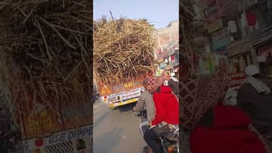 कौशाम्बी के सिराथू मे ओवरलोड ट्रक से गन्ने की लूट 🔥#Kaushambinews #brekingnews #sirathu