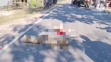 তুফানগঞ্জ ২: দ্রুতগতির যানবাহন চলাচলের জেরে পথ কুকুরের মৃত্যুকে কেন্দ্র করে মহিষ কুচি এলাকায় রাজ্য সড়ক অবরোধ পড়ুয়াদের