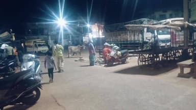 सिंदेवाही: नवरगाव येथील बस स्टँड परिसर चौक अतिक्रमणाच्या विळख्यात