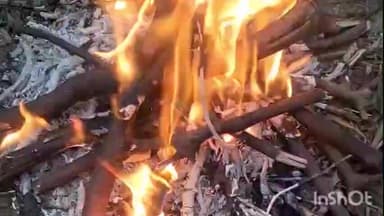 मोहम्मदी: शीत लहर ने दी दस्तक, सुबह से नहीं हुए सूरज के दर्शन, लोगों ने लिया आग का सहारा