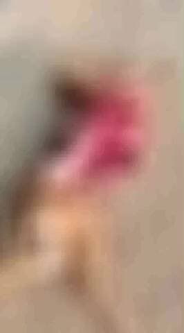 उमरी: हस्सा शेत शिवारात बिबट्याने पाडला कुत्र्याचा फडसा; शेतकऱ्यामध्ये भीतीचे वातावरण, बिबट्याचा बंदोबस्त करण्याची मागणी