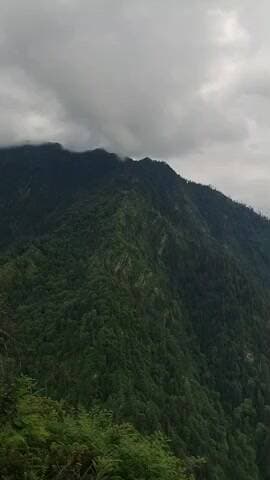 दाड़लाघाट: वन रक्षक को रिश्वत लेते गिरफ्तार किया गया, विजिलेंस ने की सख्त कार्रवाई