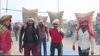 कलान: जलालाबाद की नवीन कृषि उत्पादन मंडी में आलू की भारी आवक से दामों में तेज गिरावट, किसान मायूस