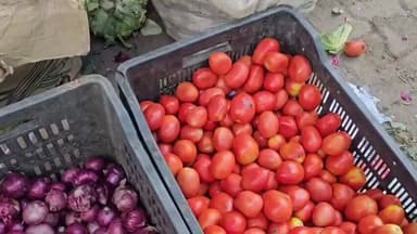 कंडाघाट: अपार हिमाचल के मटर को सोलन सब्जी मंडी में मिला बेहतरीन दाम