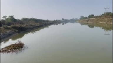 जौरा: बुरावली के पास नहर में पशुओं के शव और गंदगी से स्थानीय लोग परेशान