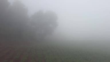 கல்வராயன் மலை: கல்வராயன்மலையில் கடும் பனிப்பொழிவு காரணமாக மலைப்பாதையில் முகப்பு விளக்குகளை எரியவிட்டவாறு சென்ற வாகன ஒட்டிகள்