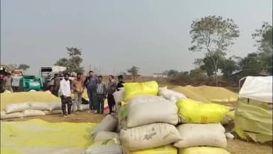 देवेंद्रनगर: प्राथमिक शाख सहकारी समिति ककरहटी धान खरीदी केंद्र का देवेंद्रनगर ब्रांच मैनेजर ने किया निरीक्षण