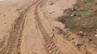 तरहसी: तरहसी थाना से 500 मीटर दूर अमानत नदी घाट से बालू का अवैध उत्खनन, डीसी एवं खनन पदाधिकारी करें कार्रवाई: विनोद