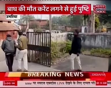 करेंट लगने से बाघ की चंदिया कथली नदी किनारे मौत 6 आरोपी गिरफ्तार स्वराज एक्सप्रेस की खास खबर #umarianews #SwarajExpress ...