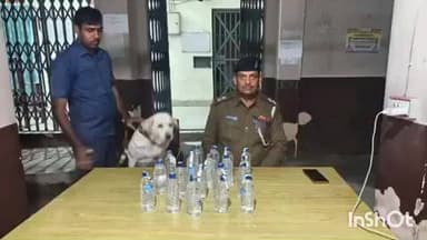 लखनौर: मैबी-कछुआ हाट में स्वान दस्ता टीम ने एक घर के पास से 19 बोतल शराब बरामद की, एफआईआर दर्ज