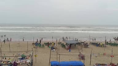 ଗୋପାଳପୁର: ଗୋପାଳପୁର ସମୁଦ୍ରରୁ ମିଳିଲା ୨ ବିରଳ ସାମୁଦ୍ରିକ କୀଟ, ଏମାନଙ୍କ ଉପସ୍ଥିତି ପରିବେଶ ପ୍ରଦୂଷଣ ସଂପର୍କରେ ଦିଏ ସୂଚନା