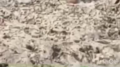 महुआ: महुआ थाना क्षेत्र के कुशहर पुल के पास बोरे में मिला शव, मृतक की हुई पहचान, पुलिस कर रही कार्रवाई