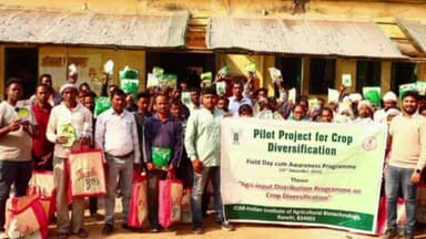 बंदगांव: बंदगांव प्रखंड कार्यालय में किसानों के लिए फसल विविधीकरण कार्यक्रम आयोजित, 60 किसानों को बीज बांटे गए