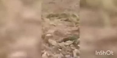 प्रतापगंज: बलुआ थाना क्षेत्र में जमीनी विवाद का वीडियो वायरल, हथियार लहराते दिखे दो लोग