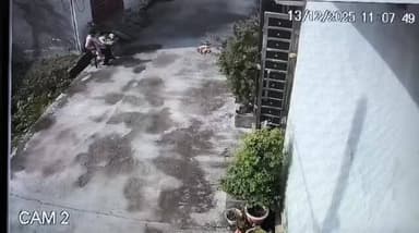 #किच्छा में कार ने महिला को मारी टक्कर, CCTV वायरल।
लालपुर क्षेत्र में घर के बाहर बैठी महिला को कार ने टक्कर मार दी, महि...