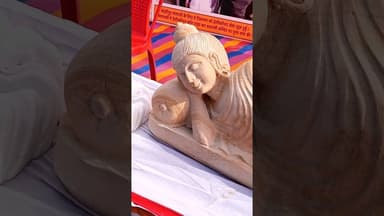 अनोखी कला #sikndra #satyawadimedia #news #dausaviralvideo #thesatyawadishow #dausanews