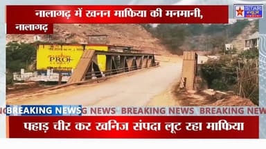 नालागढ़ में खनन माफिया की मनमानी, चिकनी नदी पुल पर PWD की चेतावनी के बाद भी भारी वाहनों की आवाजाही जारी. #Nalagarh #Mini...
