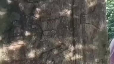 இலுப்பூர்: எருக்குமணிபட்டியில் சிதிலமடைந்த வரலாற்று சிறப்புமிக்க ஆலயத்தை மீட்டெடுத்த KKC மாணவிகள் மற்றும் தொல்லியல் துறையினர் மணிகண்டன் பங்கேற்பு