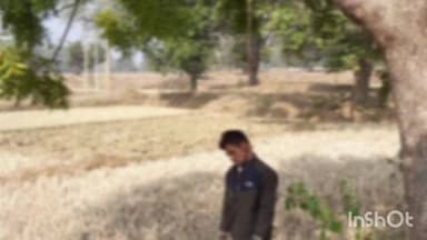 जैतपुर: जैतपुर के भरुआ गांव में पेड़ से लटका मिला युवक का शव, पुलिस कर रही है जांच