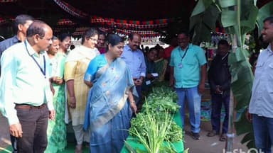 నర్సంపేట: జిల్లాలో మూడవ విడత పోలింగ్ ప్రశాంతంగా ముగిసిందని జిల్లా ఎన్నికల అధికారి, కలెక్టర్ డాక్టర్ సత్య శారద పేర్కొన్నారు.