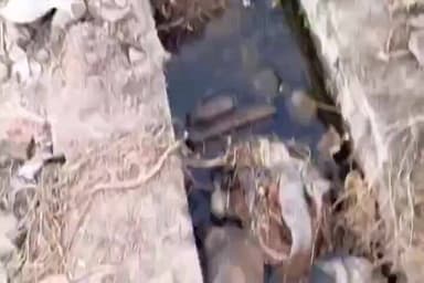 ভাঙড় ২: ভগবানপুর অঞ্চলে 'আমাদের পাড়া আমাদের সমাধান' প্রকল্পের আওতায় পানীয় জলের ব্যবস্থা এবং ড্রেনের কাজ সম্পন্ন হল