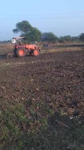 ग्राम ब्यावर में राजा छोरी ने खड़ी फसल को बकररदी प्रशासन का कोई रिएक्शन नहीं