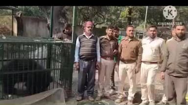 तालझारी: तालझारी वन विभाग की टीम ने बांसकोला गांव से अवैध रूप से बंधक बनाए गए स्लॉथ भालू को बचाया