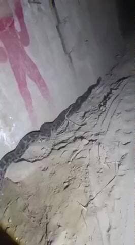 मुसाफिरखाना: मुसाफिरखाना के मठाभुसुंडा में अजगर मिलने से मचा हड़कंप, वन विभाग ने किया सुरक्षित रेस्क्यू