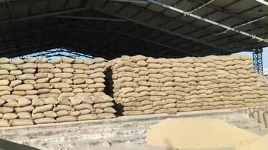 देवेंद्रनगर: परिवहन न होने से जवाहर सहकारी विपणन समिति, देवेंद्रनगर में धान की तुलाई बंद