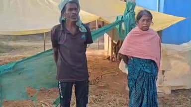 तोरपा: लेटेर गांव के किसान सनिका तोपनों के दो बैल चोरी हो गए