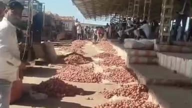 पोलायकलां: पोलाय कला मंडी में नई प्याज ₹1600-₹1800 प्रति क्विंटल, सुपर लहसुन ₹13-₹14 हजार