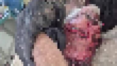 मांगरौल: रिझिया गांव में पिता द्वारा दूसरी शादी करने से नाराज़ बेटे ने धारदार हथियार से पिता की हत्या की