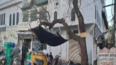 ब्यावर: ब्यावर शहर में स्नातक धर्म स्कूल के सामने लंबे समय से सूखा पेड़ लोगों के लिए बना संकट, कभी भी हो सकती है घटना