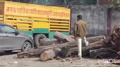बुढ़ार: बुढार वन विभाग की टीम ने धनपुरी नगरपालिका परिसर में छापा मारा, यार्ड में रखी अवैध लकड़ी ज़ब्त की