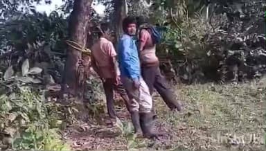 ছাতনা: গাছে বেঁধে বিদ্যুৎকর্মীদের নিগ্রহ, ভাইরাল ভিডিও ঘিরে ছাতনায় তীব্র চাঞ্চল্য, গ্রেফতার ১