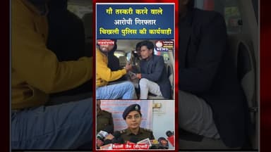 गौ तस्करी करने वाले आरोपी गिरफ्तार ,पुलिस चौकी चिखली की कार्यवाही #ytshorts #shortsvideo #cgviral