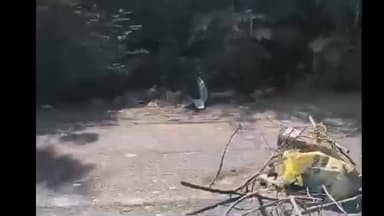 कामठी: डम्पिंग ग्राऊंडच्या धुराने नागरिक हैराण; संतप्त ग्रामस्थांचे 'रास्ता रोको' आंदोलन