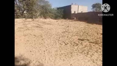 डेगाना: थावला पुलिस ने अवैध बजरी भंडारण के खिलाफ सिंघम एक्शन लिया, लाखों रुपए की अवैध बजरी की गई ज़ब्त